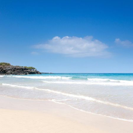 Ikena Nani Exquisite Mauna Kea Home With Heated Pool And Ocean Views Waimea  Esterno foto