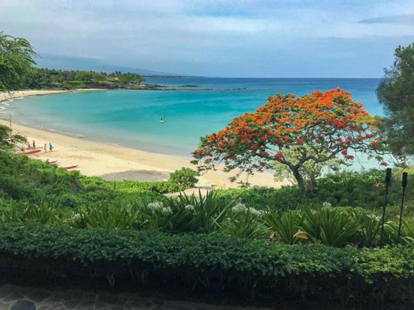 Ikena Nani Exquisite Mauna Kea Home With Heated Pool And Ocean Views Waimea  Esterno foto